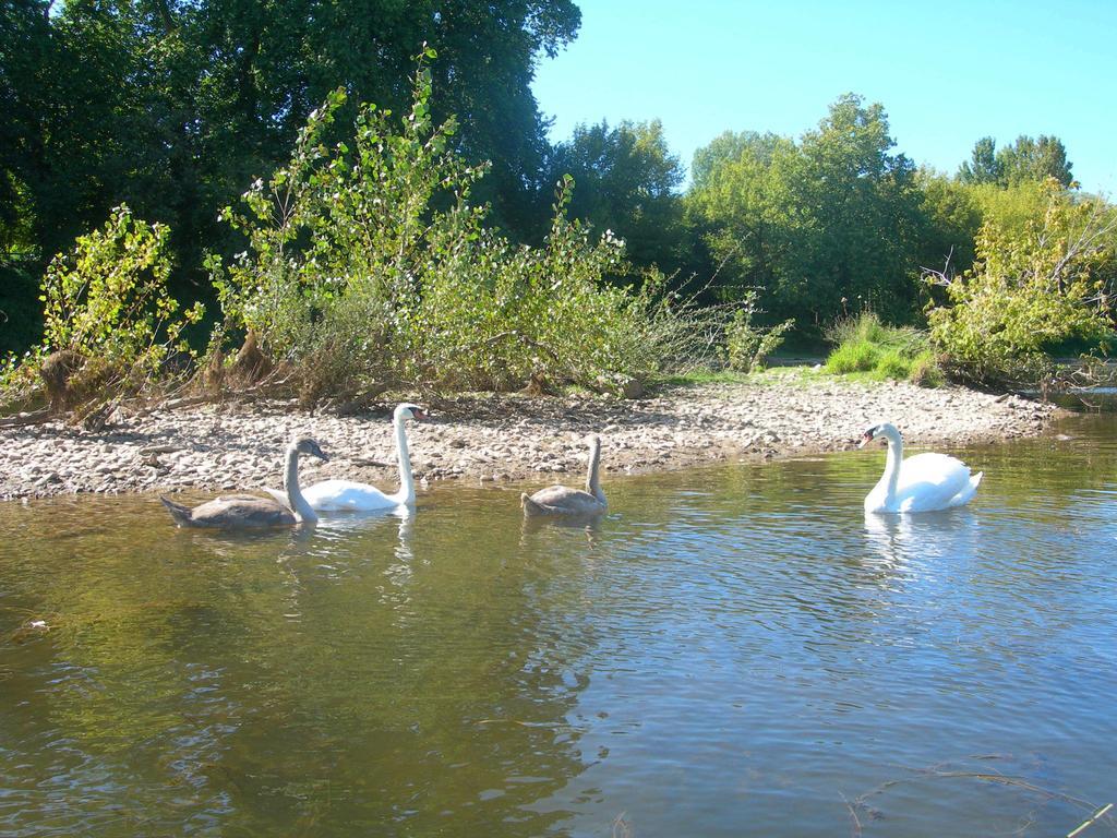Moulin des Sandaux Sainte-Foy-la-Grande Extérieur photo
