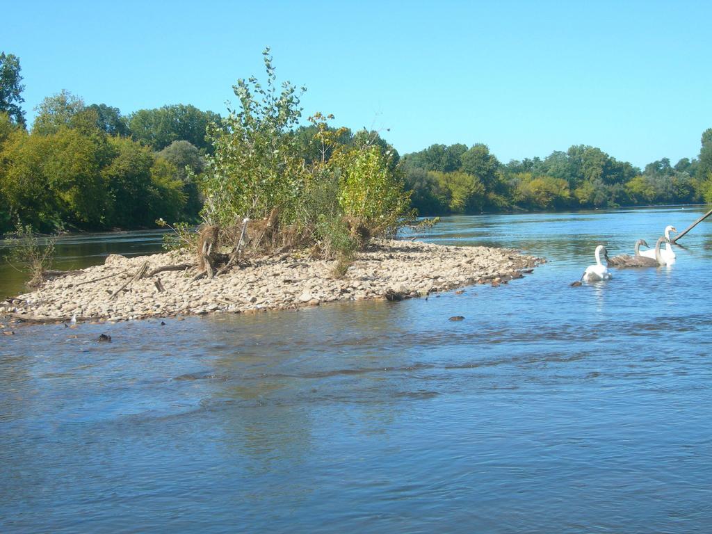 Moulin des Sandaux Sainte-Foy-la-Grande Extérieur photo
