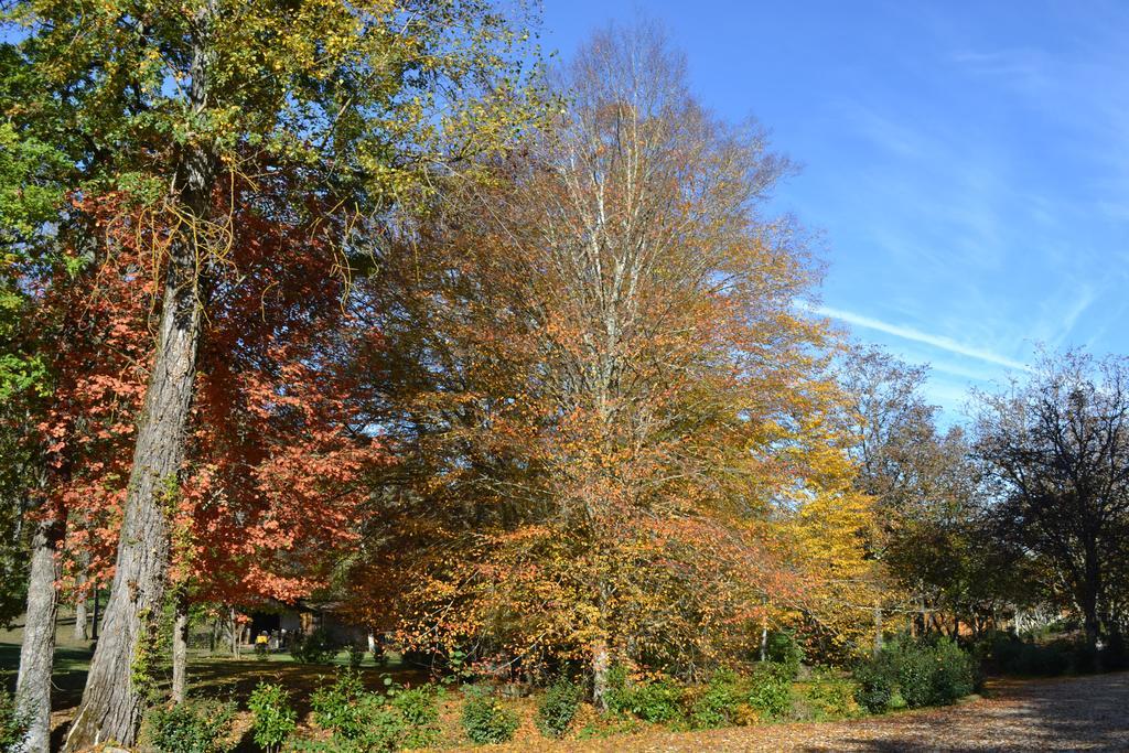 Moulin des Sandaux Sainte-Foy-la-Grande Extérieur photo